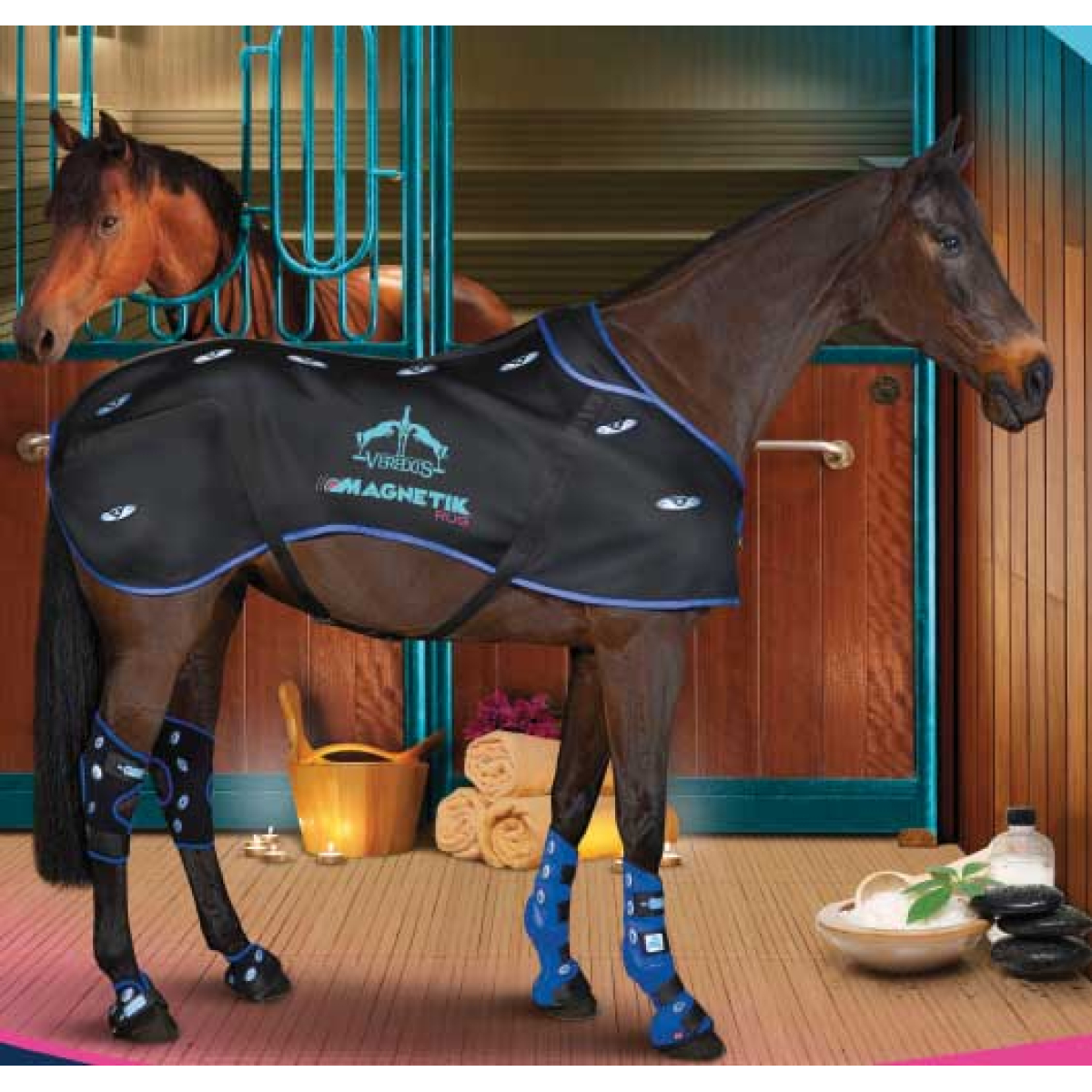 Veredus rug KS Hestesport