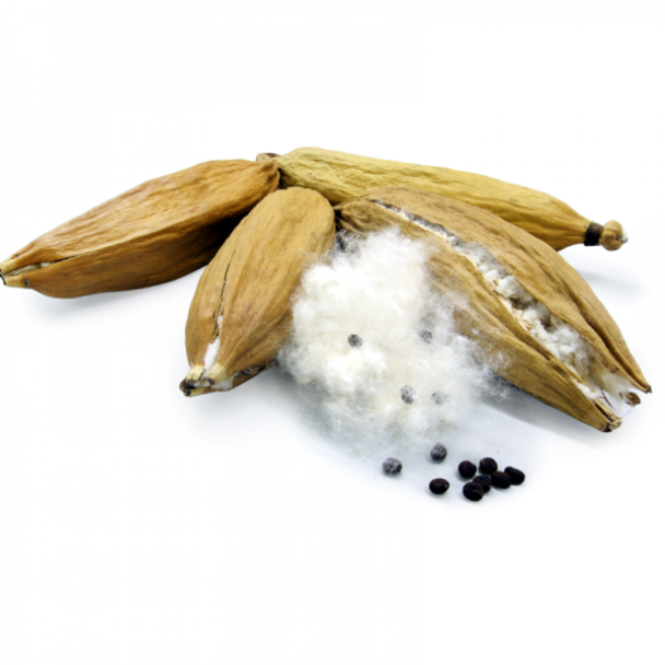 NSLEEP - KAPOK BABYDYNE 70X100 - Image 2