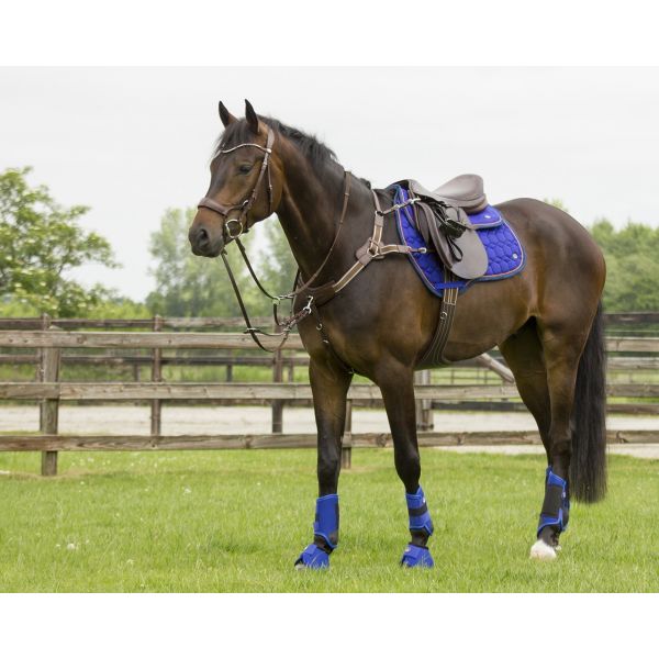 Eventing boots front leg technical