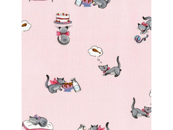 What's cooking cats 50 cm