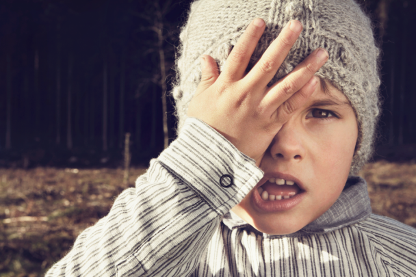 The Little Nordic Collection - Image 7