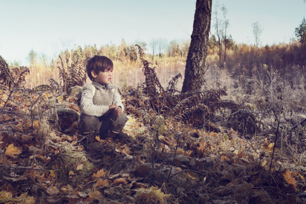 The Little Nordic Collection - Image 8