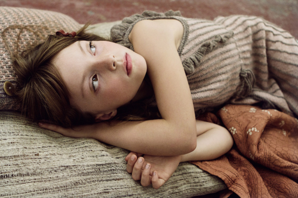 The Bird Collection - Image 5