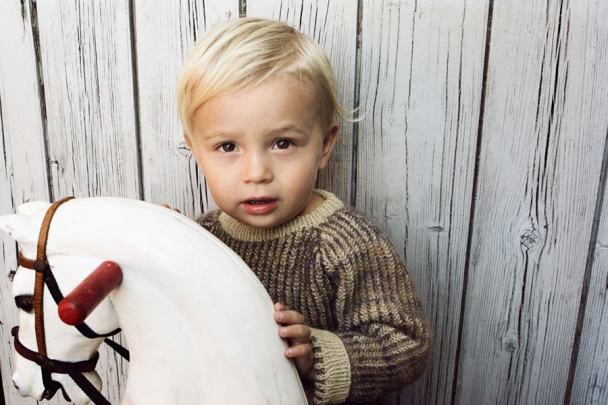 The Bird Collection - Image 11