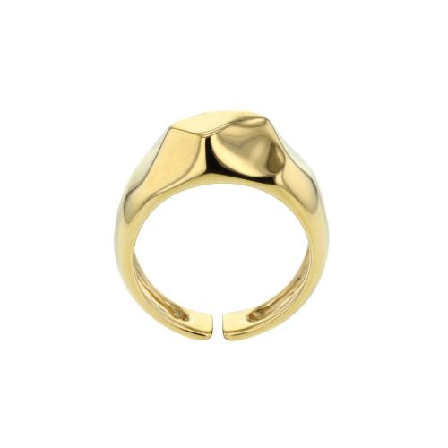 Hasla Elements Multiplicity ring, gull