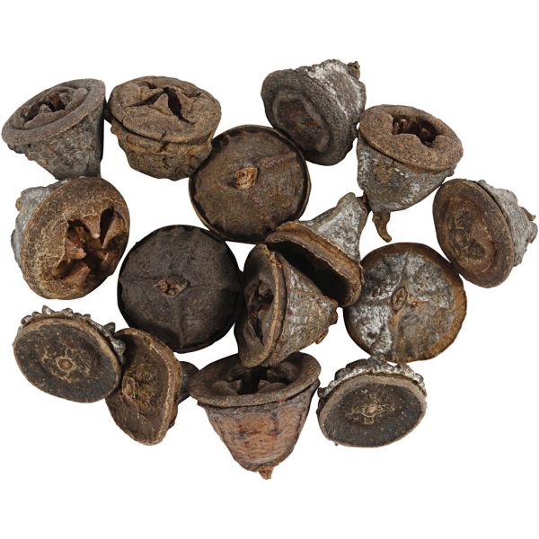 Eucalyptuskjegler, 25 G, 1 Pk.