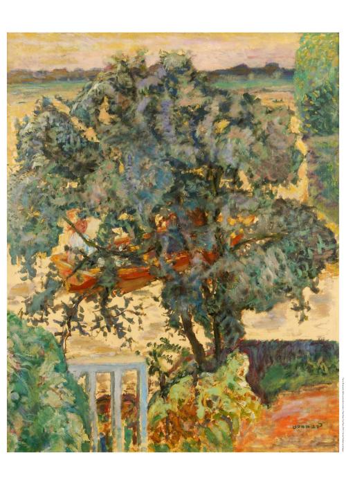 Pierre Bonnard, Tree Near the River