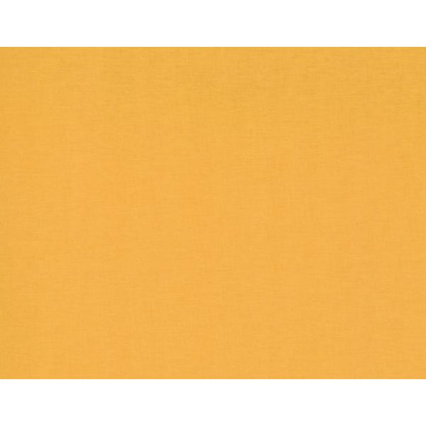 Bella solids cheddar