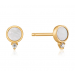 Gold Mother Of Pearl Stud Earrings