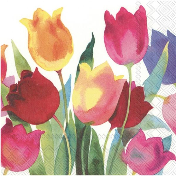 Servietter, "Powerful tulips"