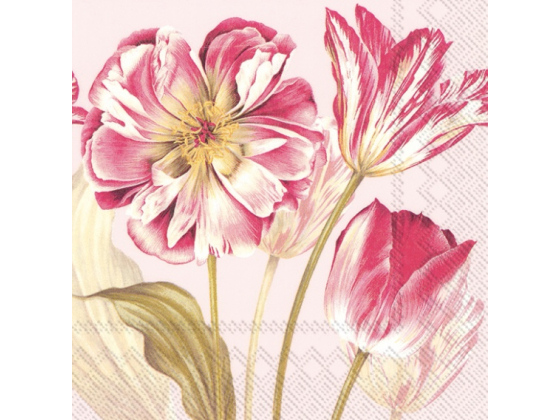 Servietter, "Majestic tulips"