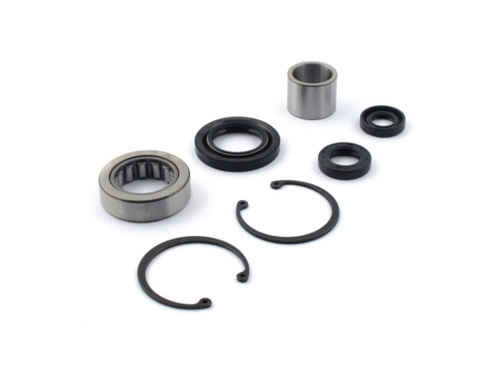 Indre Primær Lager Kit. L1984 4-sp FX; L84-06 5-sp Softail; 85-06 FLT; 85-94 FXR; 91-05 Dyna (NU)