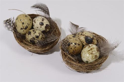 Fuglerede med egg