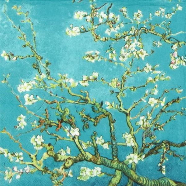Almond Blossom Lunsj 