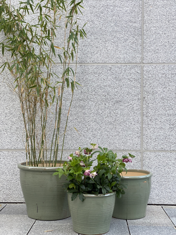 Grønn Liten - Utepotte Frostsikker - Image 5