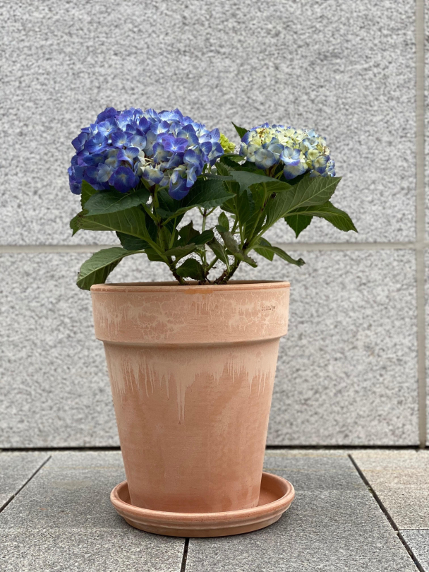 Terrakotta potte 31cm - inkl underfat - Image 2