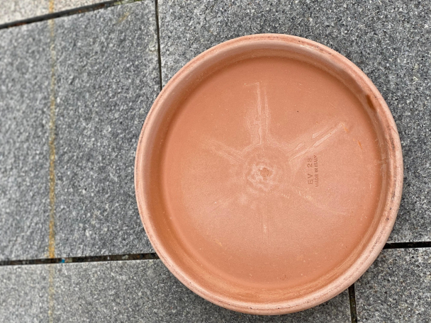 Terrakotta potte 31cm - inkl underfat - Image 4