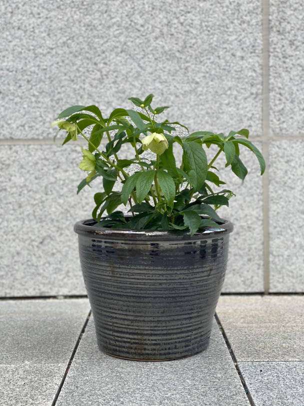 Svart Liten - Utepotte Frostsikker   - Image 1