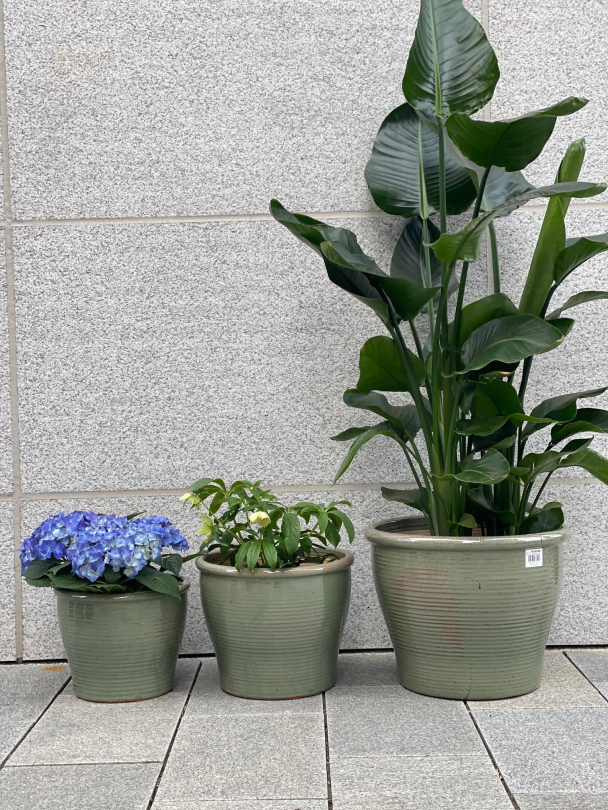 Grønn Liten - Utepotte Frostsikker - Image 6