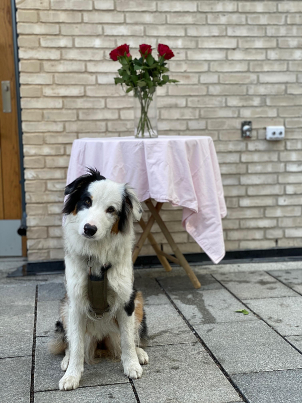 Klassisk glass vase - H:25cm/D:11cm - Image 6