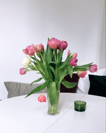 tulipaner_harbitz_blomster.png