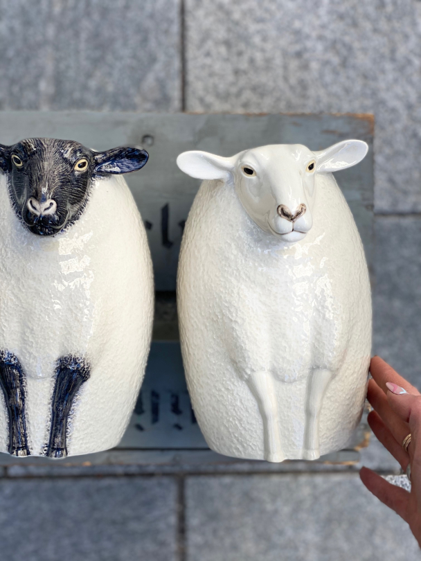 Sau - vase fra Quail (Sheep "suffolk") - Image 5