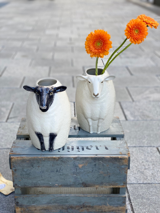 Sau - vase fra Quail (Sheep "suffolk") - Image 6