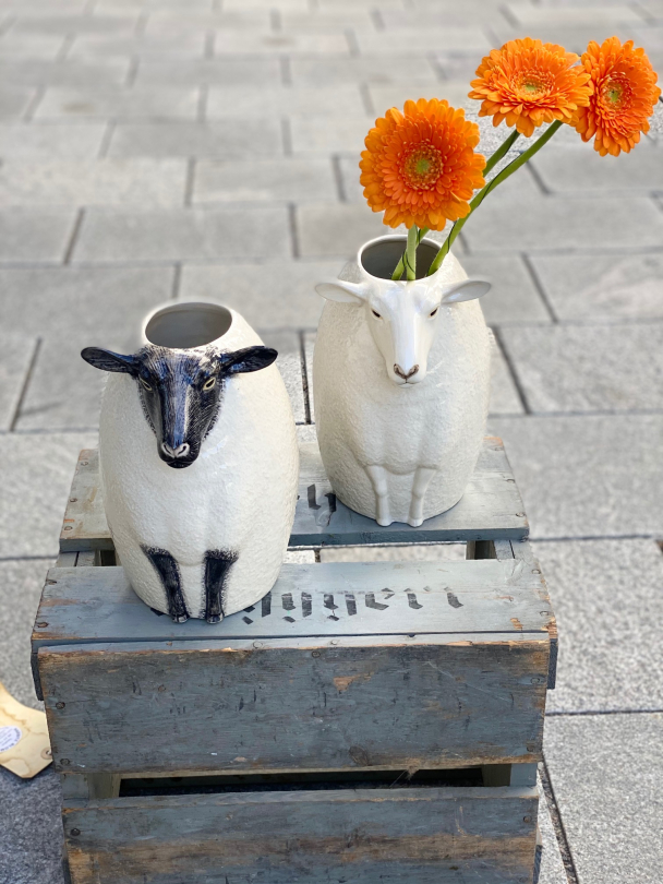 Sau - vase fra Quail (Sheep "suffolk") - Image 8