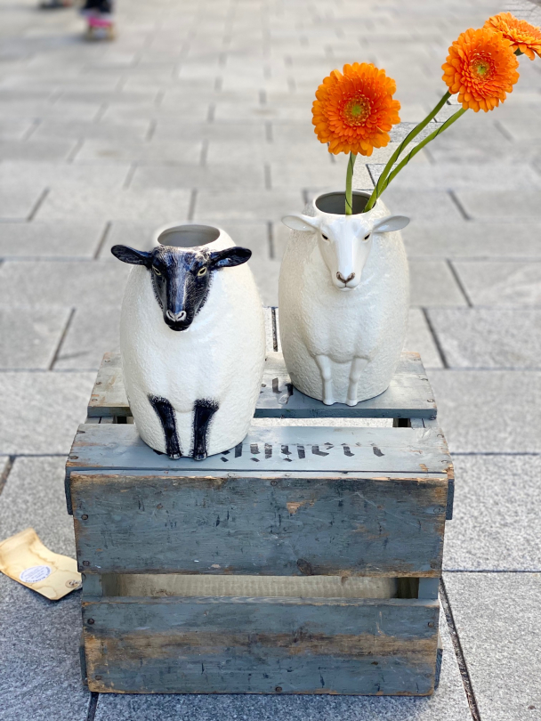 Sau - vase fra Quail (Sheep "suffolk") - Image 11