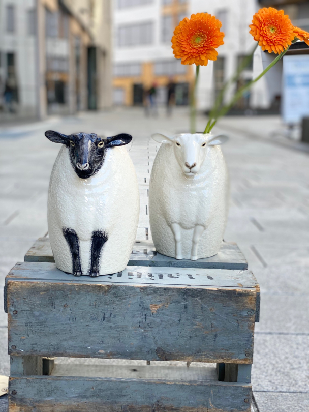 Sau - vase fra Quail (Sheep "suffolk") - Image 13