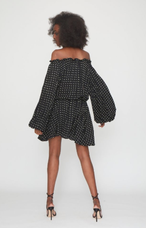 Carly Dress - Dotty Apo - Image 3