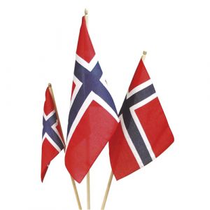 17.mai Tøyflagg 22x16cm