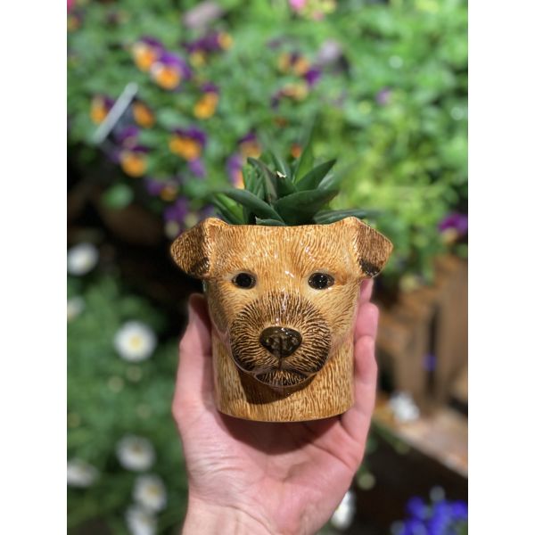 Border terrier penneholder/kaffekopp - Quail ceramics 