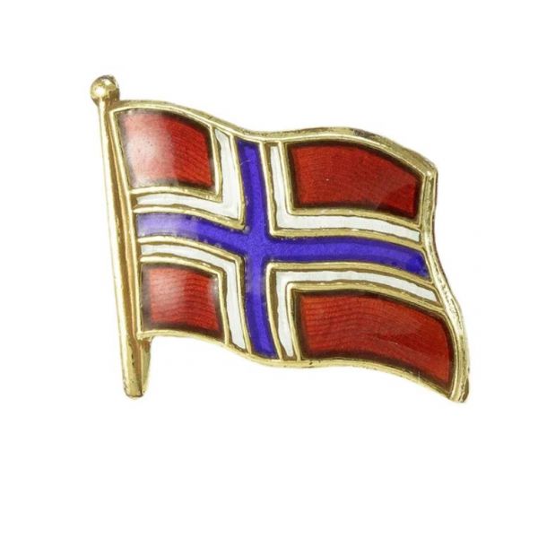 Norwegian Flag Pin