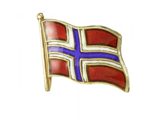 Norwegian Flag Pin