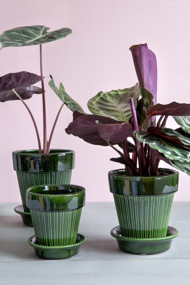 Bergs Potte - Image 7