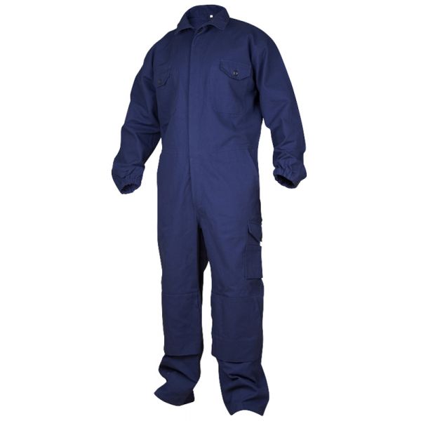 Bomullskjeldress  marin