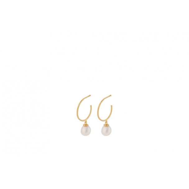 Ocean Dream Hoops 