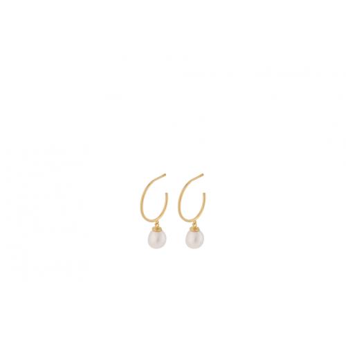 Ocean Dream Hoops 