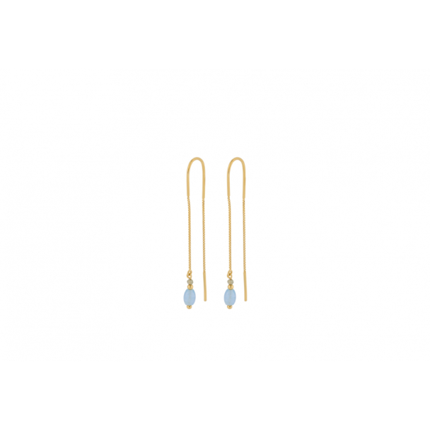 Horizon Earchains 