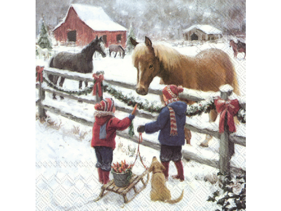 Winter Horse – Lunsj