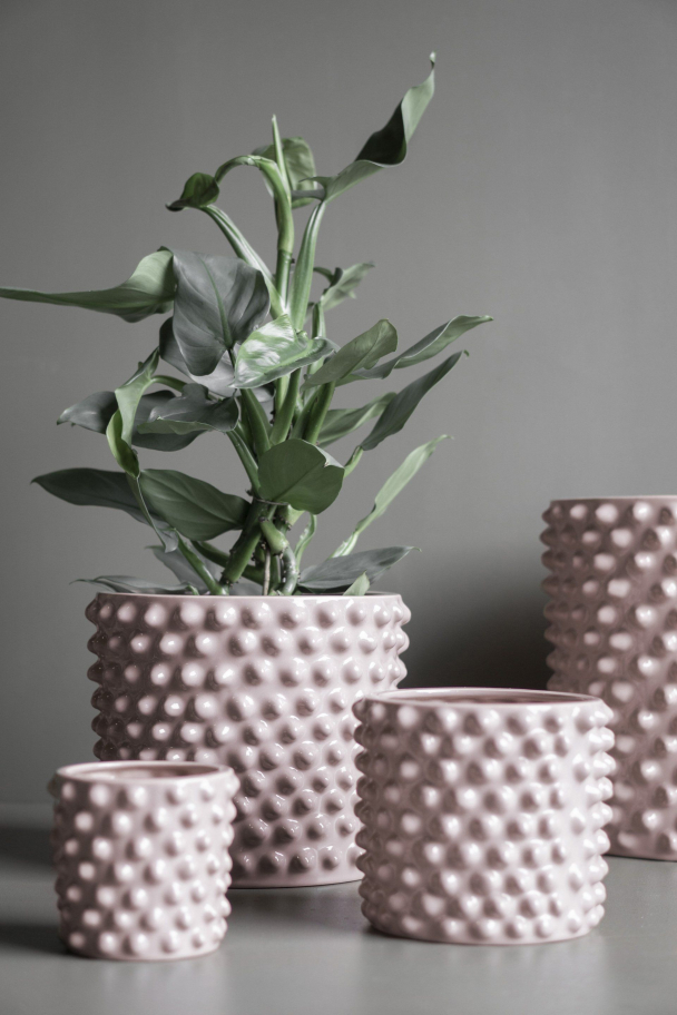 DBKD - Cloudy Potte - Image 9