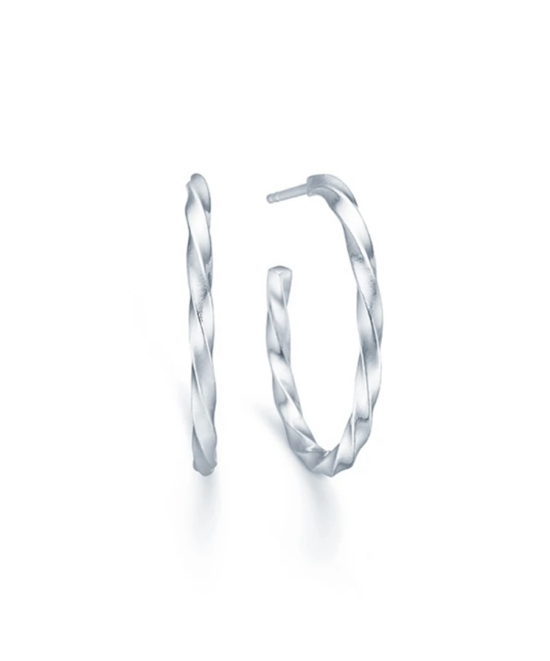 Unicorn Hoops - Silver 