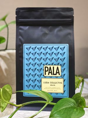Luzia Collective