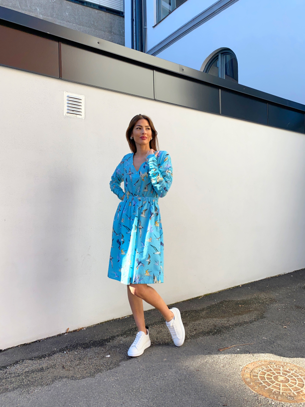 Sangsvane Dress - Blue Bird  - Image 8