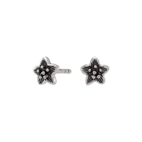 Silver rhodium-plated silver earrings star