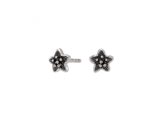 Silver rhodium-plated silver earrings star