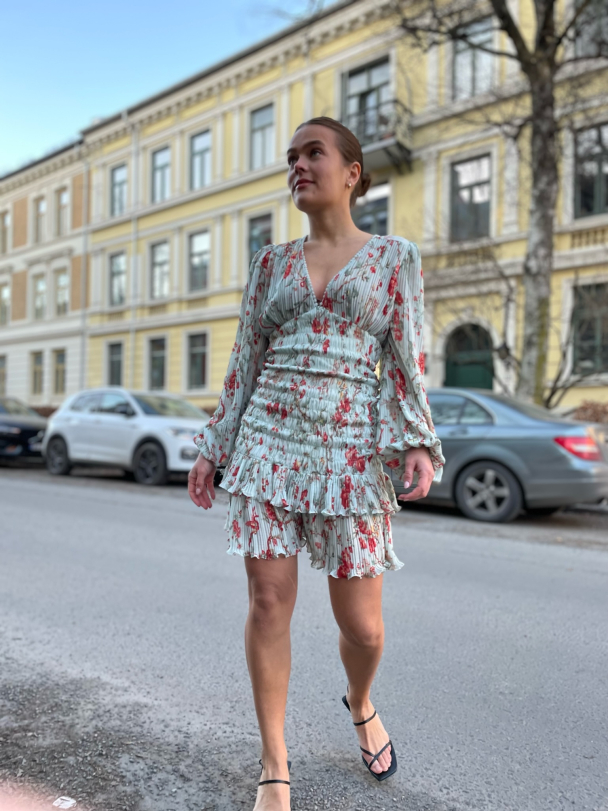 Plisse Smocking Dress - Rose Garden  - Image 2