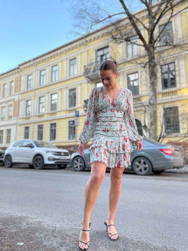 Plisse Smocking Dress - Rose Garden  - Image 3