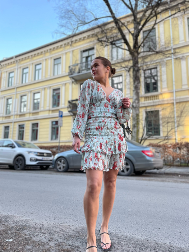 Plisse Smocking Dress - Rose Garden  - Image 4